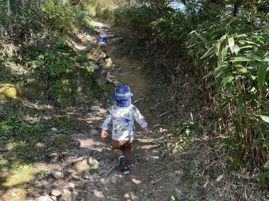 山登り